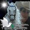 lauracampos593